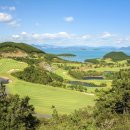 장수안포로 이미지