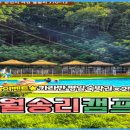 월송리캠프&글램핑카라반 이미지