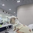 신월7동주민센터 이미지