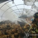 할리하우스 이미지