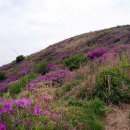 양재역 11번출구 옆 이미지