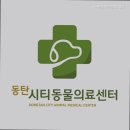 동탄시티동물의료센터 | 동탄동물병원 24시동탄시티동물의료센터 24시간 진료 가능