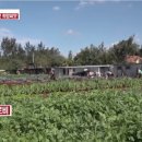 김요한농장 이미지