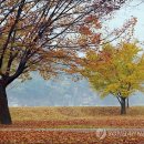 가을 속의 여유… 강길따라 떠나는 가을산책 이미지