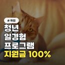 청년 일경험 프로그램, 지원금 100% 받는 방법