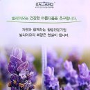 발리아모코스메틱 네이버블로그