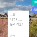 정방폭포 관광안내소 | 제주 #3 - 천지연폭포, 정방폭포