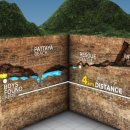 멧돼지집 이미지