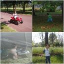 진혁농장 이미지