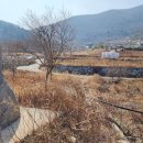 금산면사무소 이미지