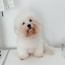 반야시스터 이미지