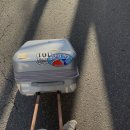 맹그로브 신설 이미지