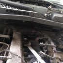 애니카랜드초월점 이미지