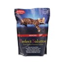 블루스톤 이미지