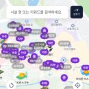 사이버랜드 | 에버랜드 일기 | 평일 비오는 날 에버랜드 갔다온 후기