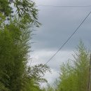 건강 라인댄스 이미지