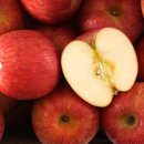 바디웰짐 이미지