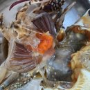 재섭농장 이미지