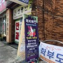 신괴정약국 네이버블로그