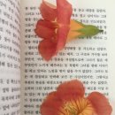일상다반