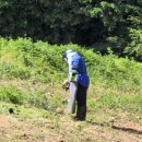 행복한 농원 이미지