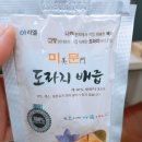 아리엘미문