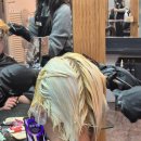 피오리레 이미지