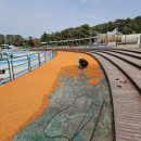 와동체육공원 이미지