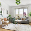 식물 인테리어 이미지