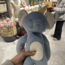 봄·초롱 하우스 이미지