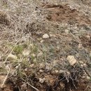 분기검문소 이미지