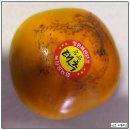 문기 농장 | 창원 토박이가 2년째 찾는 그 맛! 하산골단감농원 태추단감 솔직 후기