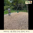 광교중앙공원 티스토리