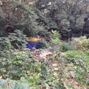 신대동공인중개사사무소 이미지