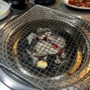 얼큰이꼼장어 이미지