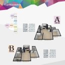 카렌시아 이미지