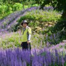 사곡농장 이미지