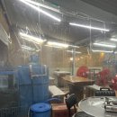 장닭과촌닭 이미지