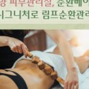 라힐에스떼고양지축