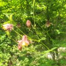 명월3리 이미지