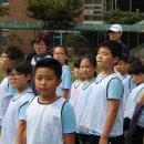 봉래초등학교 이미지