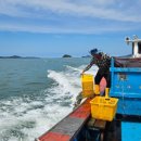 (주)와이즈 이미지