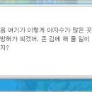 골드비치리조트 이미지