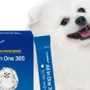 마이펫스토어 이미지