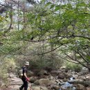 O.K한잔할래 | &#39;할래 말래&#39; 하다 간 곳이 자운암 코스였던 관악산 (몽벨 트레킹 선글라스 등산 후기)