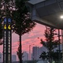 펜타스타호텔 | 팔팔 끓는 여름에 팔팔하게 놀아야지 8월 일상