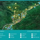 솔향수목원(전시온실) 이미지