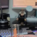 오토크루 이미지