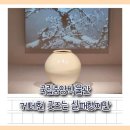 용산-이촌-1960 | 국립중앙박물관 케데헌 굿즈는 실패했지만