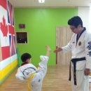 경희대 엘리트 태권도 이미지